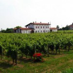 Tenuta Ambrosini gesti di Franciacorta