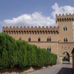 Castello di Bolgheri e terroir l’accordo sublime declinato in eleganza