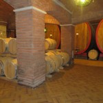 Allegrini Wine, armonia evolutiva