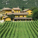 Tenuta San Leonardo, l’anima della tradizione. Nel tempo