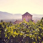 Schlosskellerei Dellago. Selection e Wine Passion