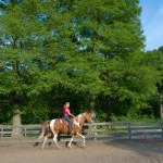 On horseback to New York city