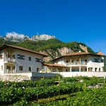 Weingut Donà, the spirit of Alto Adige