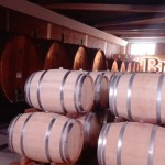 Braida Wine. L’emozione di un vino