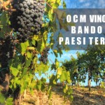 Ocm Vino. Promozione sui mercati dei Paesi Terzi