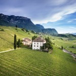 Castel Ringberg wine experience firmata Elena Walch