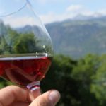 Kalterersee un vino, un territorio,un lifestyle. Caldaro e la sua identità