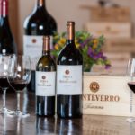 Sognare e acquistare esperienza Wineshop Monteverro