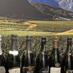 Trentino & Wine, lo storytelling nel calice, l’evoluzione nel format