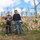 Valpolicella, in bici con Cunego nella terra dell’Amarone