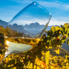 Wine Erste+Neue  immagine alpina