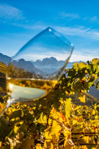 Wine Erste+Neue  immagine alpina