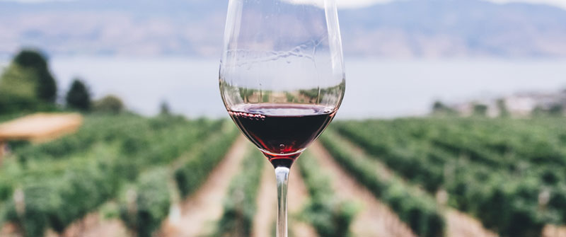 Washington Wine, i produttori diversificano