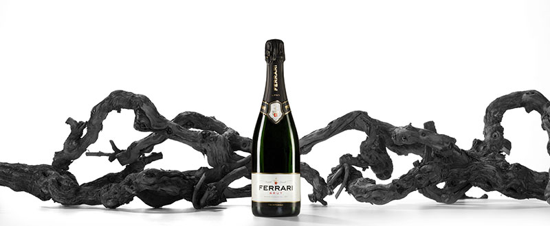 Ferrari Trento Sparkling Wine Producer of the Year